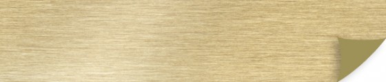 ÁBSRN 3557E/OHNE Brushed Gold AL04 23/1