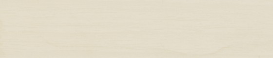 ÁBSRN 6248/OHNE/LPE05 R27021 VV 43/0,8