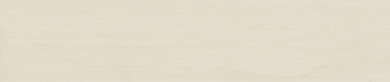 ÁBSRN 6248/OHNE/LPE05 R27021 VV 28/0,8