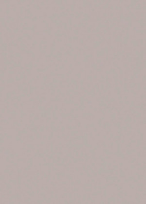 RC MDF 1687L Sabbia HG 2800/1300/19