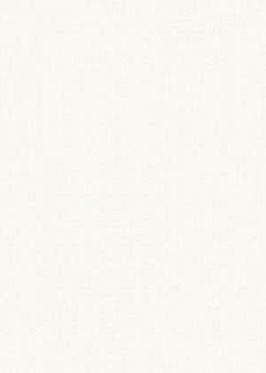 RC MDF 1697L Perla MATT 2800/1300/19