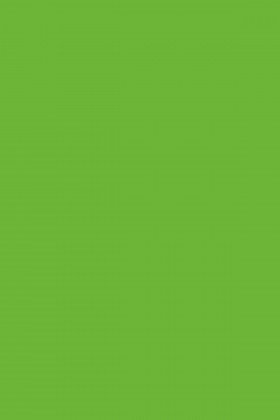 DTDL 7190 BS Zářivě zelená 2800/2070/28