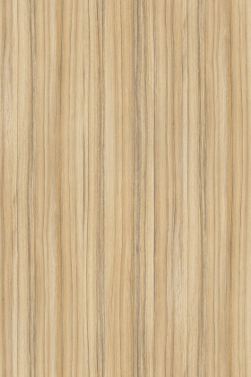 LFFL 8995 SN Coco bolo 2800/2070/18