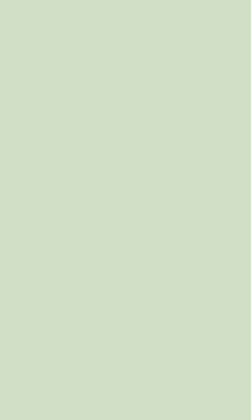 DTDL U19015 SD Spearmint 2800/2100/18