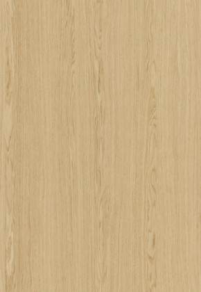 ABSB SHINNOKI 4.0 Ivory Oak 24/1