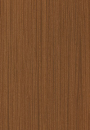 ABSB SHINNOKI 4.0 Terra Sapele 24/1