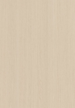 ABSB SHINNOKI 4.0 Bondi Oak 24/1