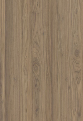 ABSB SHINNOKI 4.0 Frozen Walnut 48/1