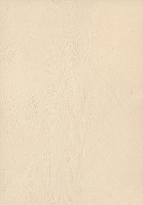 ÁBSRN F385 ST10 Hrubá omítka 43/1,5