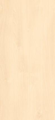 HPL H1733 ST9 Nyírfa Mainau 2800/1310/0,8