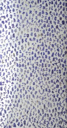 DECORACRYL A72 2440/1220/12 gyö/gyö