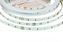 TL-LED szalag meleg fehér 4,8W 24V