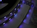 TL- UV LED szalag 14,4W/m, 12V  eredeti UV chip