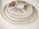 TL-LED szalag 14,4W/m 24V RGB+CW hideg fehér IP20
