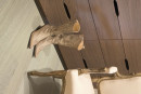 Podlaha PARKY DELUXE+ 06 Milk Oak  Premium 1810/166/12 mm