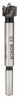 BOSCH 2608597601 Sukovník s tvrdokovem a předřezovými hroty 15 x 90 mm, d 8 mm