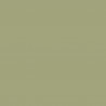 HPL U19503 Avocado SD 4100/1300/0,8