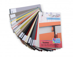 TRACHEA Minta T.Acrilic 2024/2025