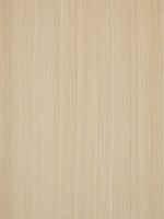 SHINNOKI HPL Milk Oak 2150/1000/1