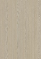 ABSB SHINNOKI 4.0 Pebble Triba 24/1