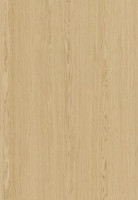 ABSB SHINNOKI 4.0 Ivory Oak 24/1