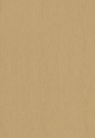ABSB SHINNOKI 4.0 Ivory Infinite Oak 24/1