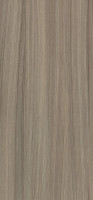 HPL H3090 ST22 Driftwood 2800/1310/0,8